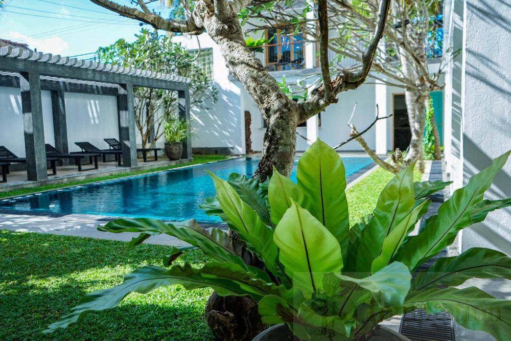 Hotel Temptation Hikkaduwa Exterior foto